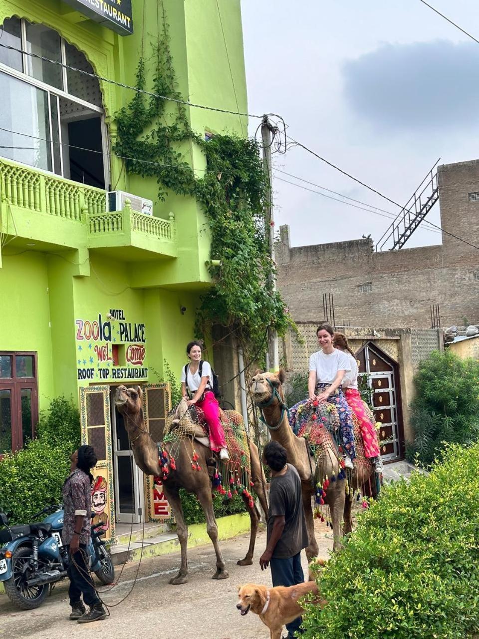 Hotel Zoola Palace Pushkar Ngoại thất bức ảnh
